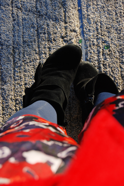 DSC_2660web