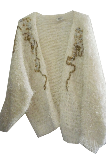 Veste brodée 1€