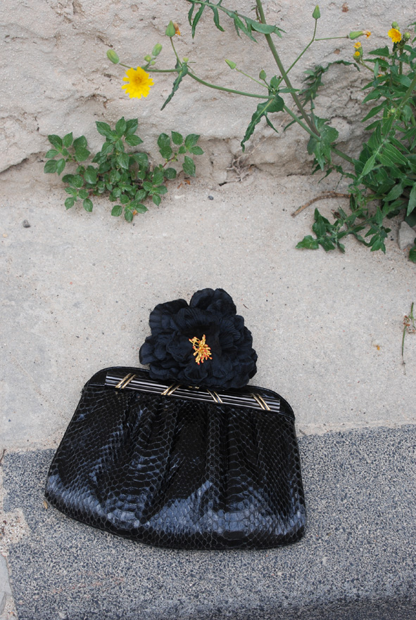 DSC_1056web