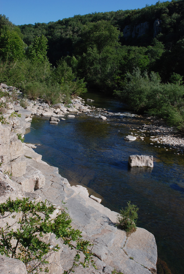 DSC_1586web