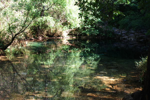 DSC_1631web