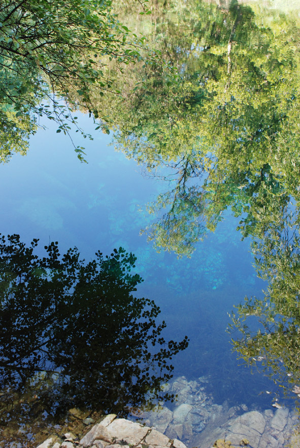 DSC_1637web