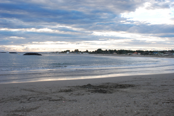 DSC_2511web