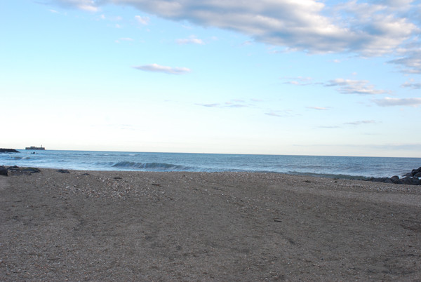 DSC_2514web