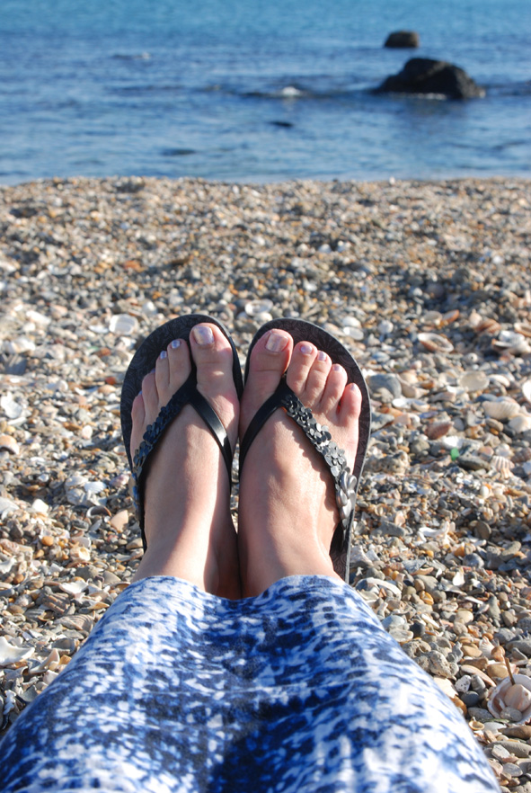 DSC_2582web