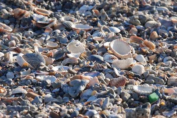 DSC_2584web