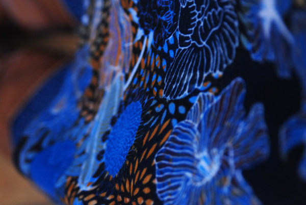 DSC_2667web