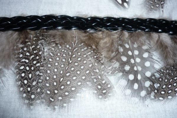 P1120428web