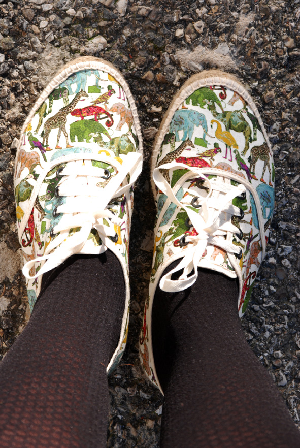 DSC_3596web