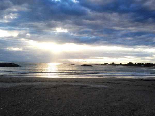 IMG_1661web